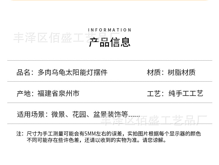 多肉乌龟_06.jpg