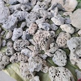 Коралловый морской мундштук