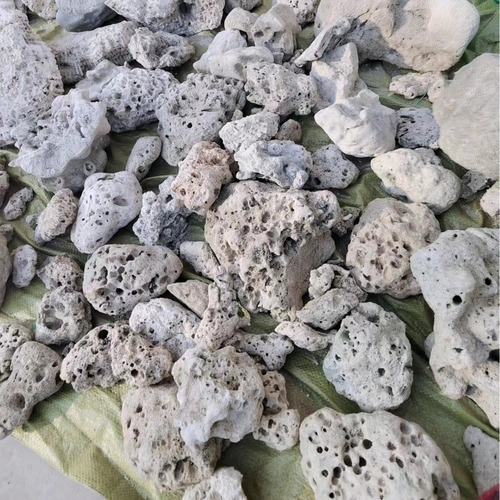 Coral stone, coral bone, aquarium engineering, fish pond filter, seafood pond, aquarium filter material