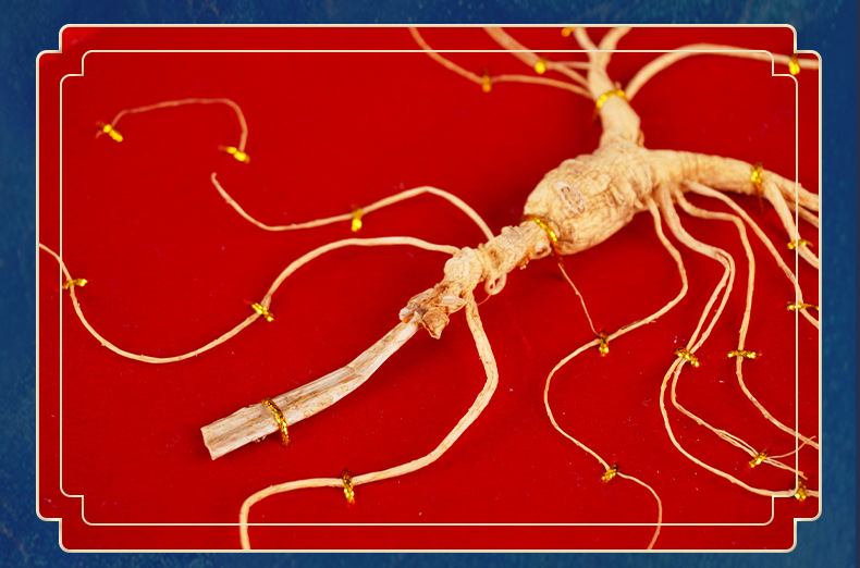 Changbai Mountain Wild-Forest Ginseng Gift Box Dried Root for Cooking and Wine Soaking specifications