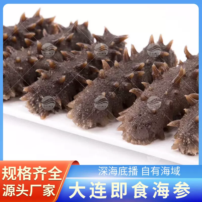 大连海参即食海参口感筋道有嚼劲大连海鲜特产 开袋即食海参50g