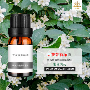 �������������Jasminum Absolute��޹�澏��wֲ��ԭ�Ͼ���