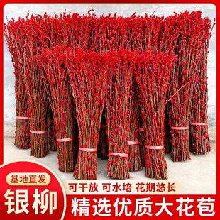 �󸻴��F�y���r֦���������������׷��滨�͏d�ɻ����l�S�����l