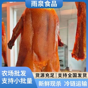 ���r���h�����Z���l�R�����Z�����Z�F�׬F�l�Bֳ��ֱ�N���D����