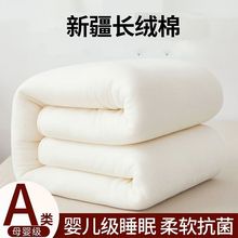 新疆棉花被纯棉被棉絮床垫铺床褥子棉花被子垫被芯秋冬学生被子
