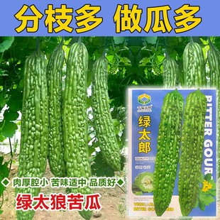 �͟��L�G��ϷN�ݸ߮a������ه���ѷN���̨�����߲��ش��紺�ļ�