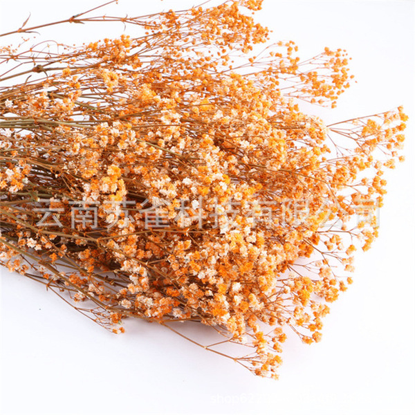 Wholesale Yunnan Ganhua Eternal Flower Flowers Di Flower DIY Bouquet…