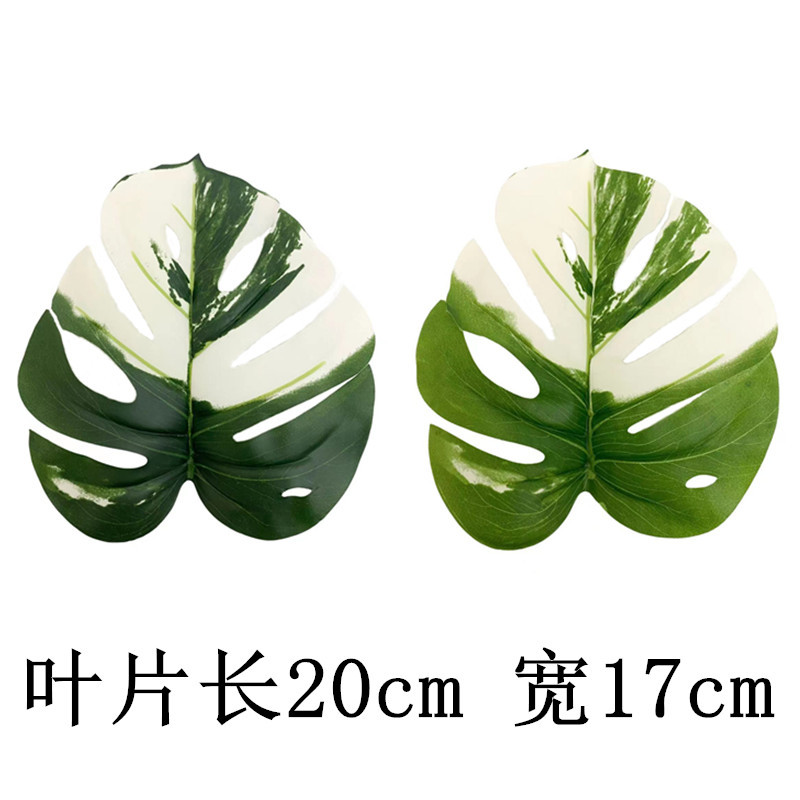 未命名_副本