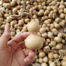 �S��ֱ�N�������J��С���J��Ȼ��������[����ˇƷ���l