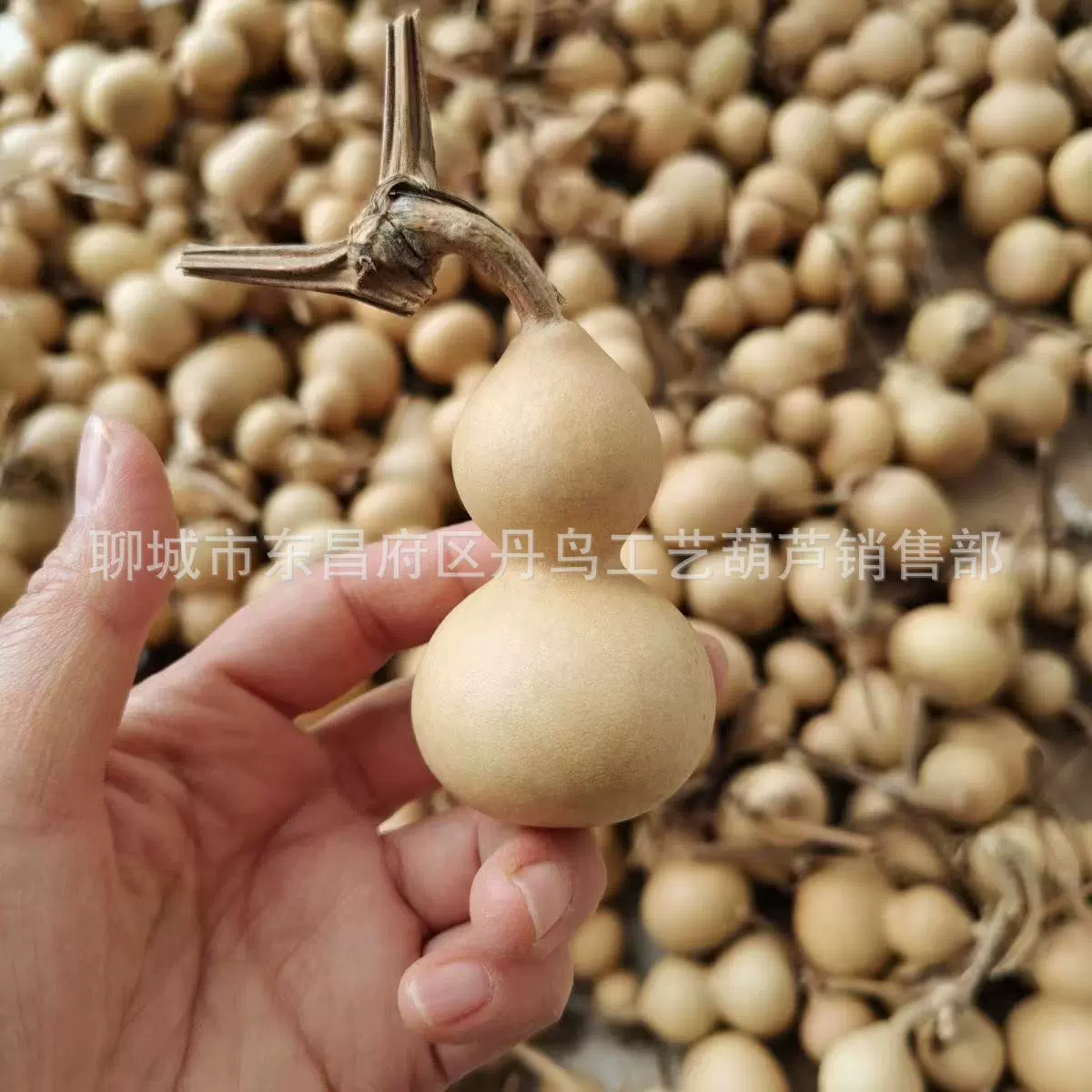 Органический кулон, продажа напрямую с фабрики, США, оптовая