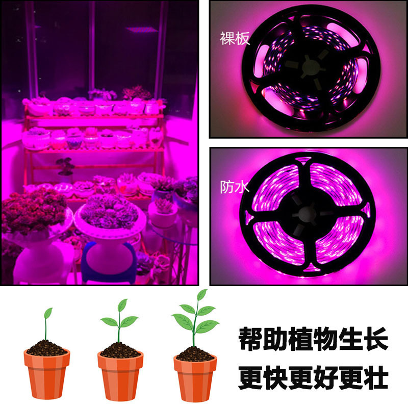 跨境USB 5V植物生长灯带2835全光谱防水LED蔬菜花卉多肉补光灯|undefined