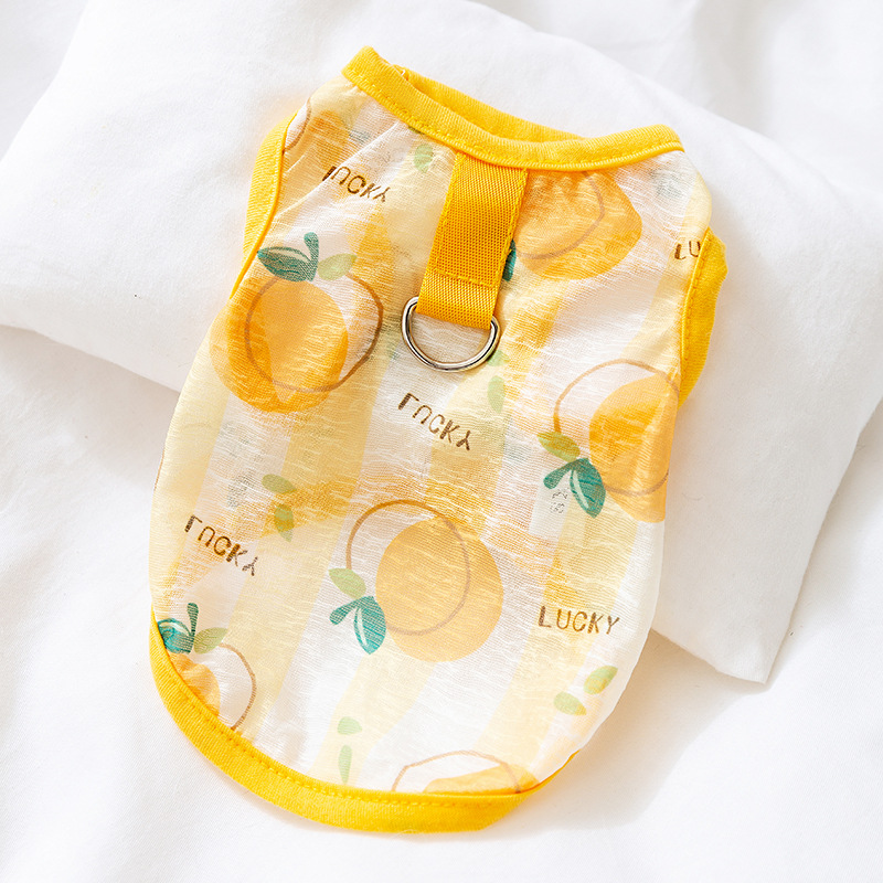 Primavera y verano perros delgados transpirables piña fruta chaleco de dibujos animados de dos patas gatos que osos peluche ropa de perro mascota