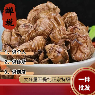 �s͑5g���s���½��s���s��֪��Ƥ֪�˚��x���s�˚���Ұ��