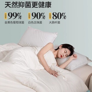 Soybean Fiber Quilt Winter Quilt Warm Thick Cotton Quilt Core Summer Quilt Spring and Autumn Single Dormitory Student Air Conditioning Quilt
