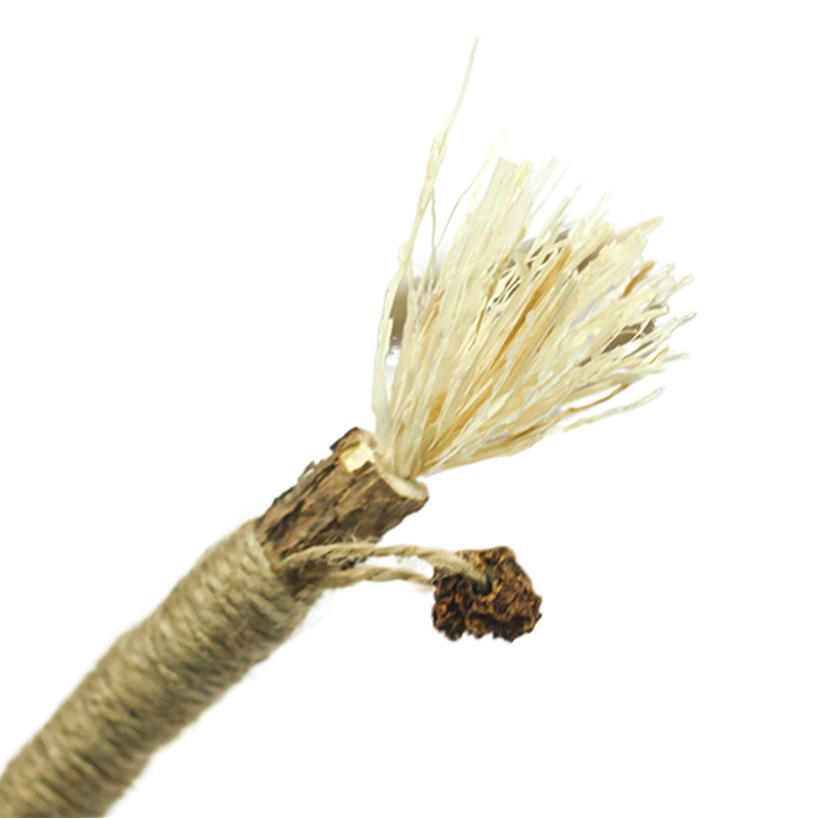 Huanren insecto hiel fruta Rod Plus Polygonum multiflorum stick combinación mordisquear nuevo gato juguete Limpieza de dientes diente escala quitar aliento fresco