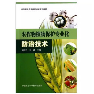 �r����ֲ�ﱣ�o���I�����μ��g �����I�r����Ӗ�̲� �r�I�Ƽ���