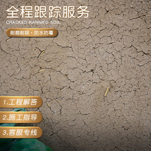 �¼����������Ѽy���f���|�Џ͹Ÿ��Ѳ��ϼy��ˇ�g�T�Ϻ���������