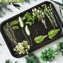 �Gɫ������ֲ���ȫ�ɻ�DIY���Ͻ���ˮ����ǧ�ӽ��ֹ����ֶY�b�