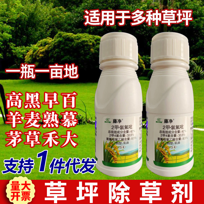 Lawn Weed Killer Weed Grass Herbaceous Broadleaf Weed Manila Bermuda Dog ​​Tooth Lawn Weed Killer