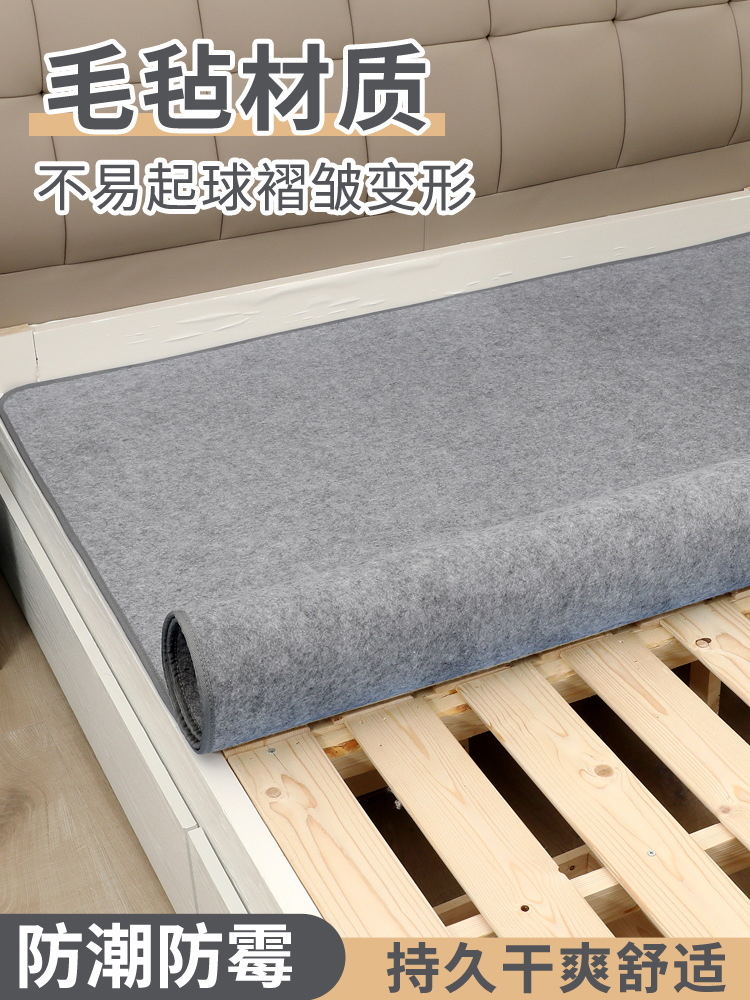Moisture-Proof Mattress for Bed, Moisture-Absorbing Mattress for Student Dormitory Single Bed, Tatami, Moisture-Proof and Mildew-Proof Mattress, Bottom Mat