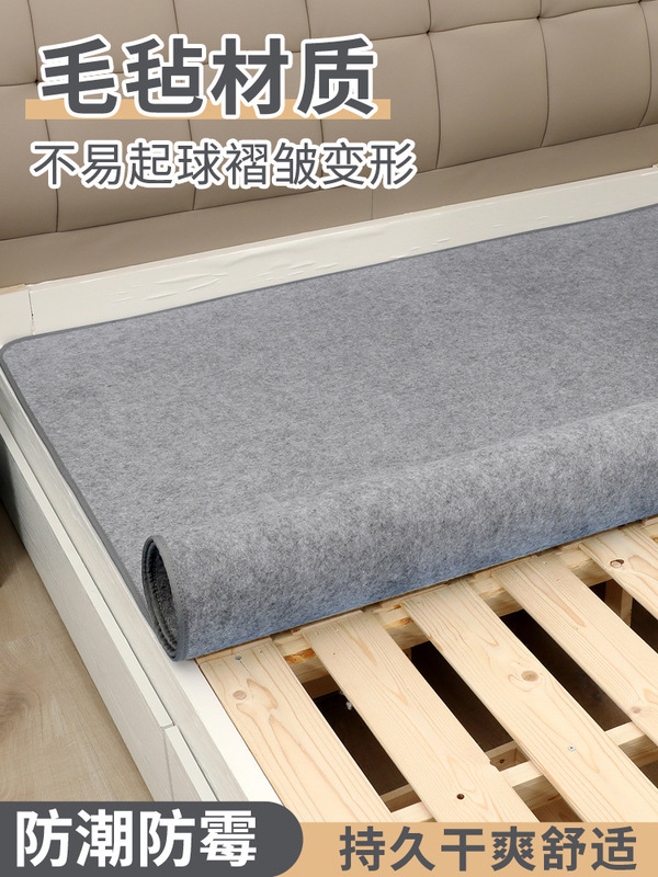 Moisture-Proof Mattress for Bed, Moisture-Absorbing Mattress for Student Dormitory Single Bed, Tatami, Moisture-Proof and Mildew-Proof Mattress, Bottom Mat