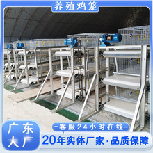 村庄复兴 石碌镇水头村：“小鸡蛋”成为强村富民“大工业”