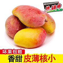 贵妃海南芒果甜厂爆芒青装新鲜批发芒皮斤整箱应薄季水果甜心斤35