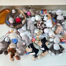 ë�q�����ż�ɐ�С��������ë�qС��ߔ[����С��Ʒ�������