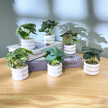 �Gֲ�ٻ��[�������~С�����k�������ҿ͏d���ֲ��[�O�b�Ʒ