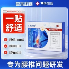 ソース 宮本武蔵 腰椎部位型 圧力刺激パッチ 腰の圧力刺激パッチ 正規品