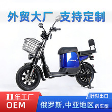 3.0-1216��00W�綯���г�����48V������ר�ó��ڹ����������綯��