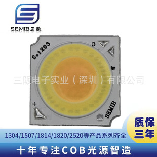 1919 Two-Color Cob Light Source 18W Full Spectrum Pre-Embedded Hidden Frameless Spotlight Zoom Grille Light Without Main Lighting