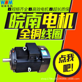 皖南电机立式多级泵专用高效电机11kw15kw18kw22kw30kw37kw45kw