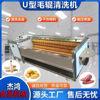 商用U型毛辊去皮清洗机果蔬羊蹄猪蹄设备全自动化不伤果皮