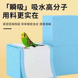 其他小宠用品;鸟类;喂食器