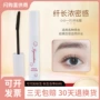 定型卷翘睫毛打底膏