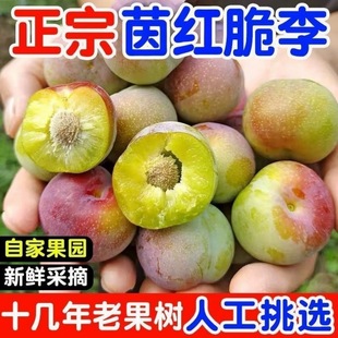 �Ĵ�����ˮ�����rÓ�����Ӵ���t���5����]��߅�t�����ӬF؛