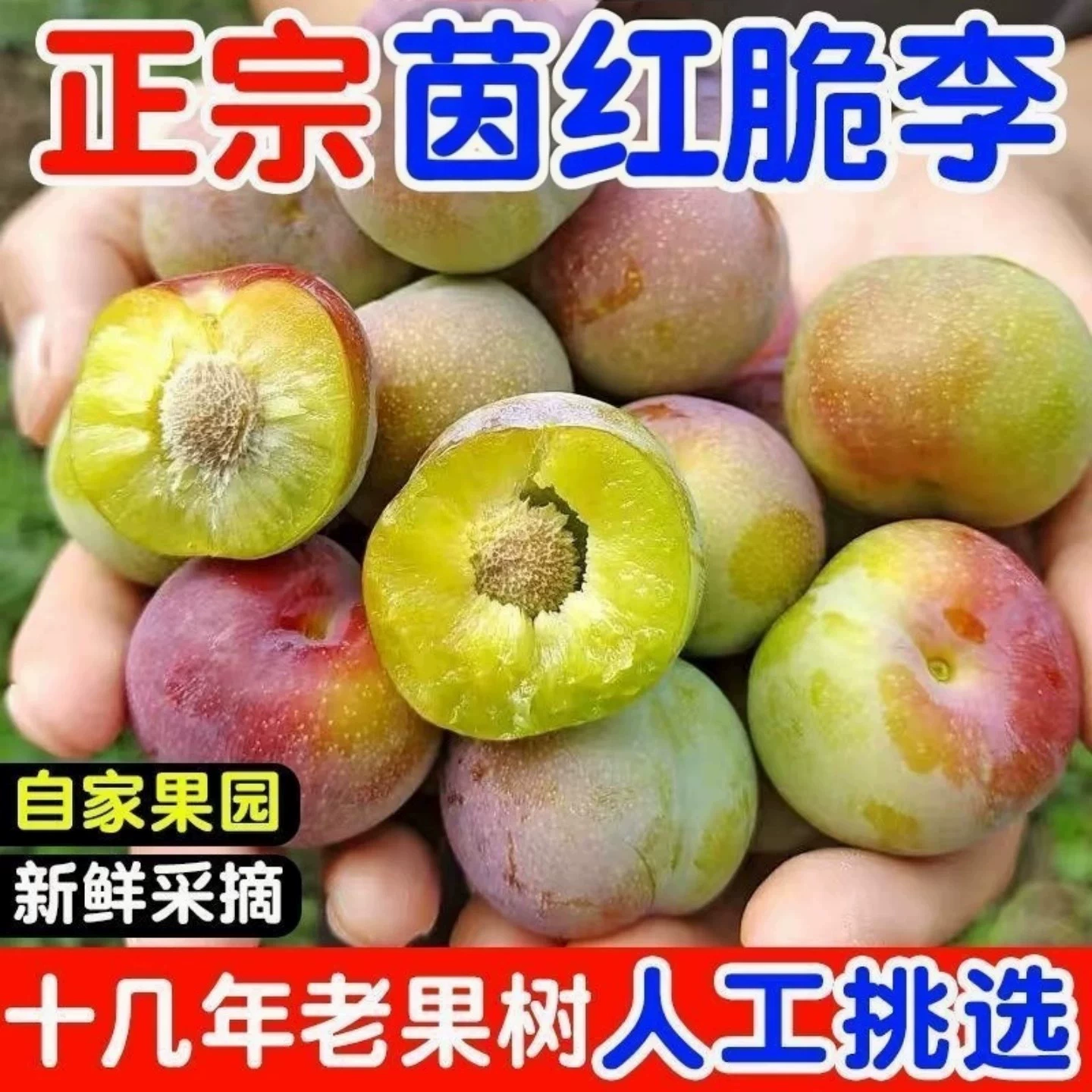 Свежие без косточек сливы из Сычуани, хрустящие красные сливы в сезон, 2.5kg бесплатная доставка, полукрасные хрустящие сливы в наличии.