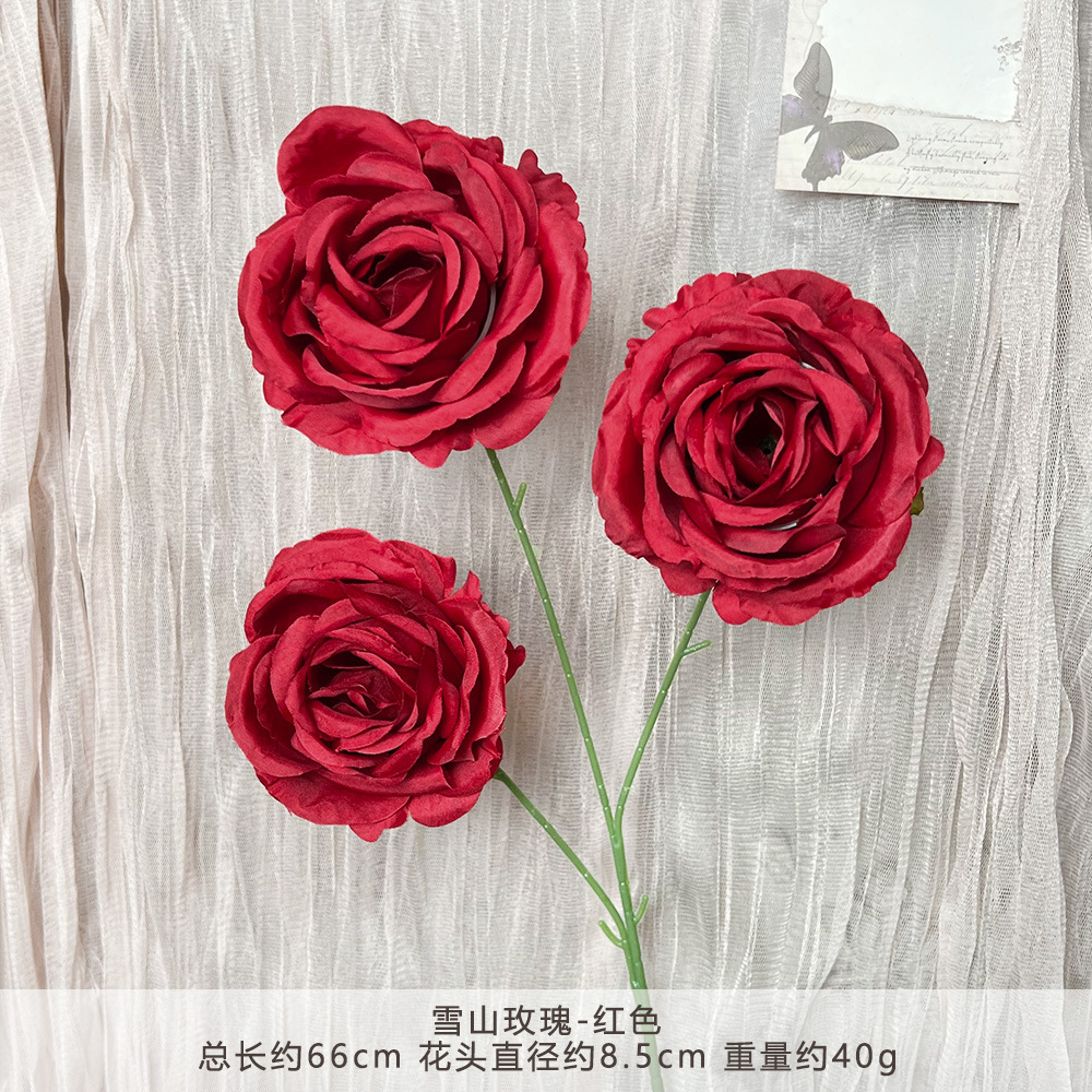 Yy3-snow mountain rose-red