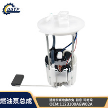 �羳 1123100AGW02A �����ڳ��ǹ������� ���� ����� ȼ�ͱ��ܳ�