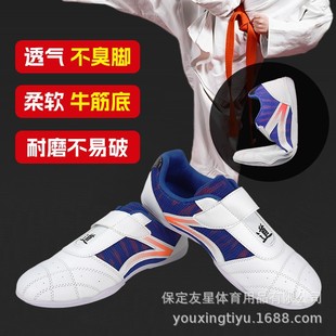 Professional Taekwondo Shoes, Kidsren's Special Training Shoes, Adult Breathable Martial Arts Shoes, Beginners' Wear-Resistant Soft-Soled Shoes for Men and Women