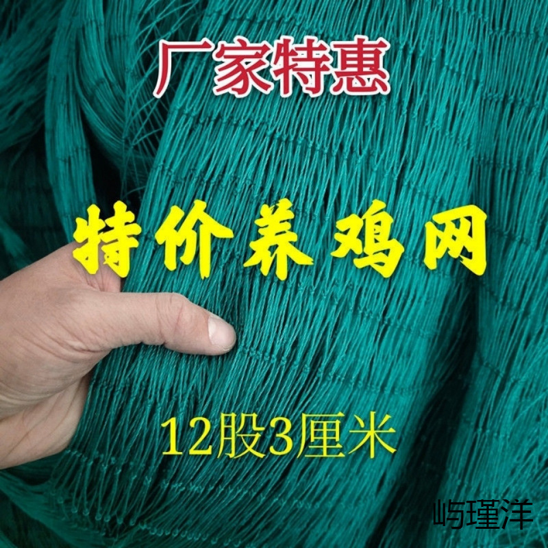 가금류 사육용 그물 나일론 그물 닭 파리 방지 그물 새 방지 닭 상단 그물 울타리 등반 그물 격리 그물 도매