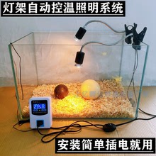小鸡保温灯取暖灯泡 鸡鸭鹅育雏保温箱 可调温度加热灯泡自动控温