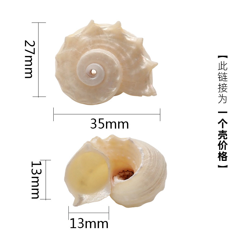 2-3cm 크랩에 적합한 x24 빛나는 작은 해마