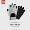 【Basic model】 Arctic ash
