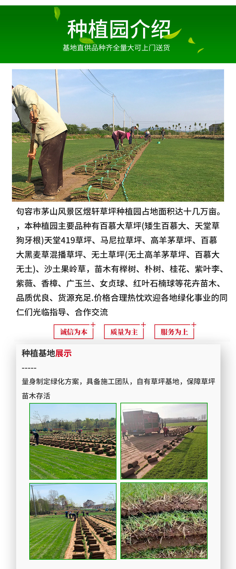 ȷ��������ƺ����ҳ-_06