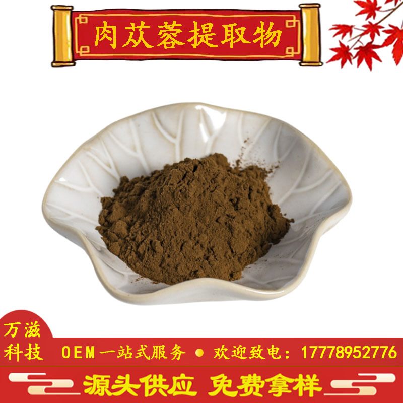肉苁蓉提取物 10:1 30:1 50:1松果菊苷 80% 40% 20% 10% 现货供应