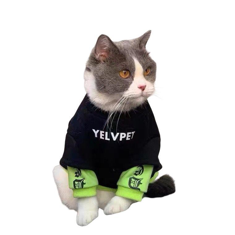 网红猫衣服猫咪衣服幼猫0到3个月洋气加绒拼接卫衣全包可爱防掉毛|undefined