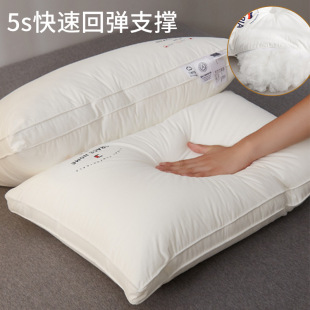 Class A cotton cervical spine protection 60 pillows encrypted partition five-star hotel pillow core adult home famous wholesale