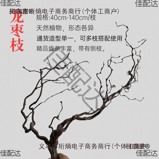 ����֦��Ȼֲ���ٗl��횗��U��[���滨�ɻ��Ƶ�Ҿ�ˇ�g�b��